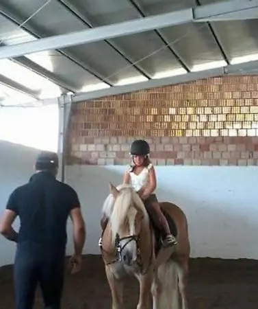 Chora Casa de hóspedes Morcone