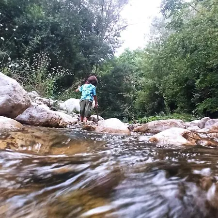 بيت ضيافة Chora